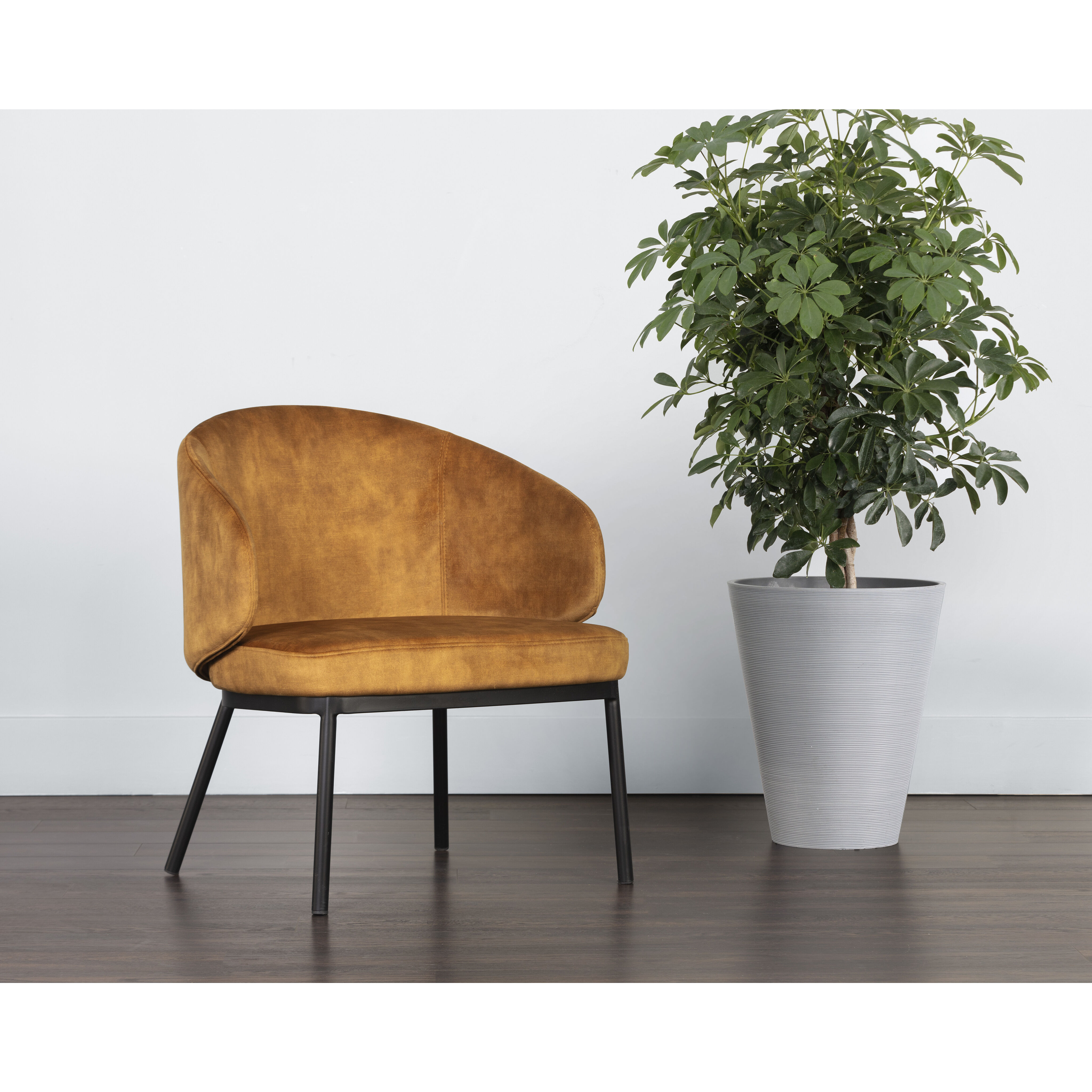 Echo Black / Nono Tapenade Gold Lounge Chair